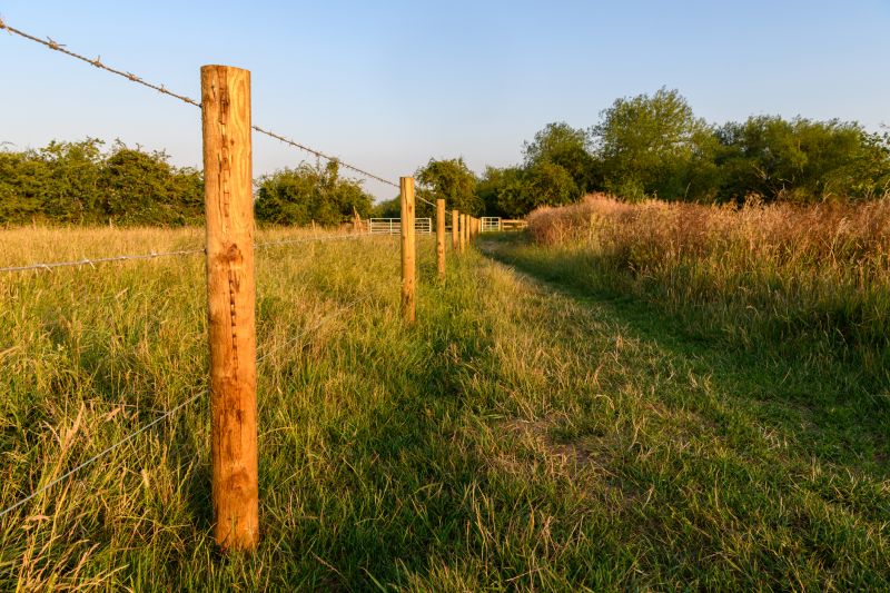 Barbed Wire Fence Replacement