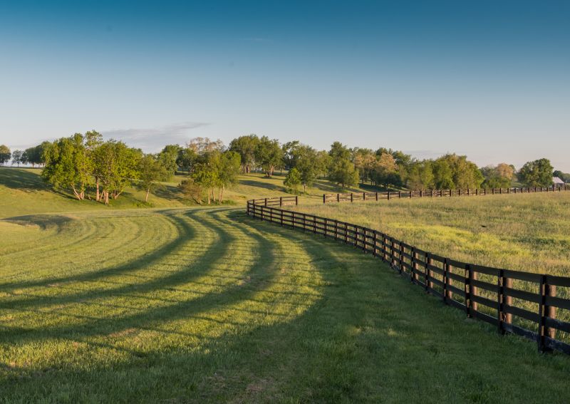 Farm Fence Repair