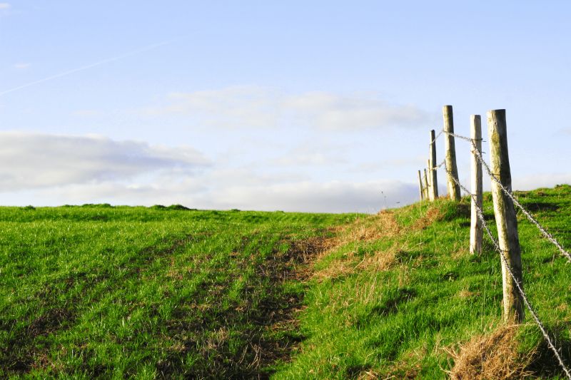 Field Fencing Service