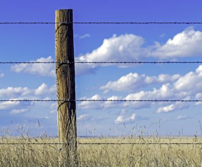 Wire Fence Replacement