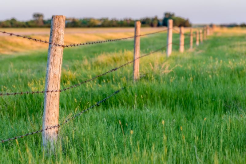 Board Fence Installation