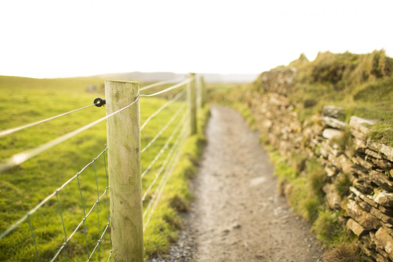 Field Fencing Service